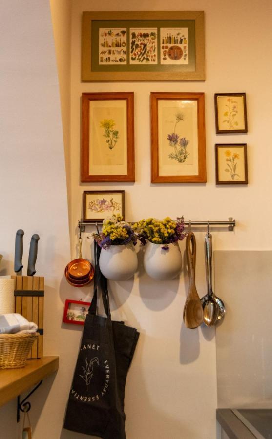 Ferienwohnung ArtLoft Novi Sad Exterior foto